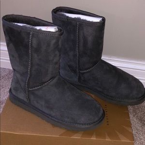 UGG Classic Short Grey Boots
